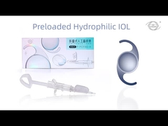 หน้าแรก